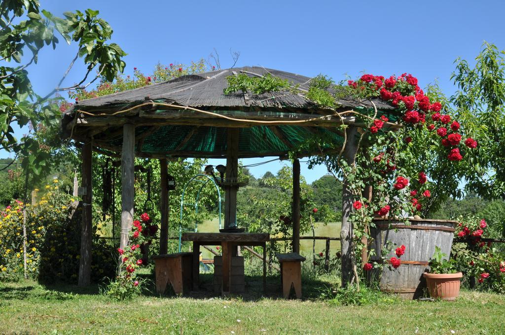 Agriturismo Agri E Arte Manciano Eksteriør bilde