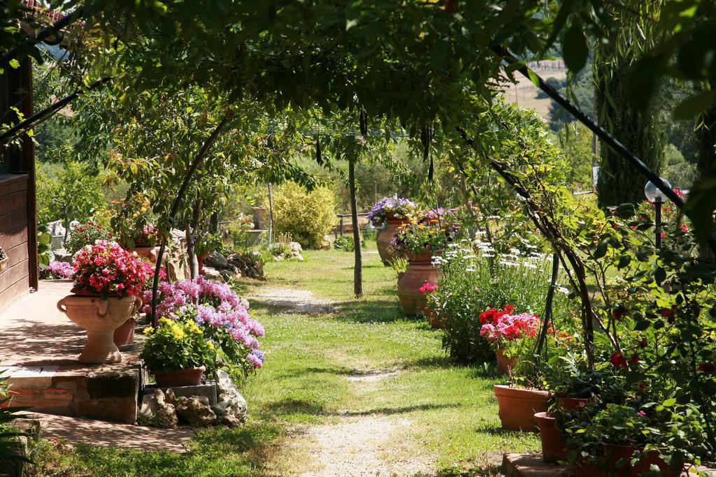 Agriturismo Agri E Arte Manciano Eksteriør bilde