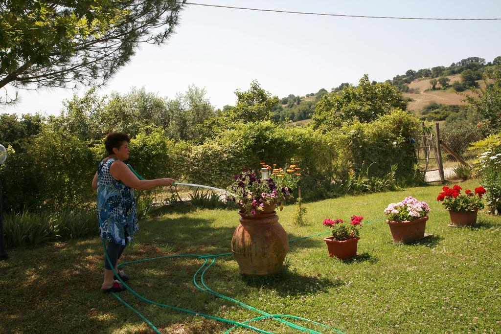 Agriturismo Agri E Arte Manciano Eksteriør bilde