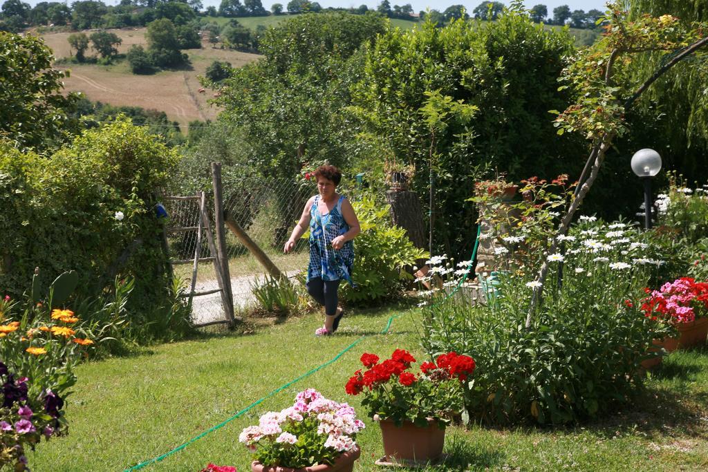 Agriturismo Agri E Arte Manciano Eksteriør bilde