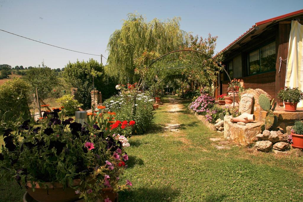 Agriturismo Agri E Arte Manciano Eksteriør bilde