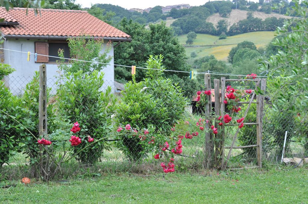 Agriturismo Agri E Arte Manciano Eksteriør bilde