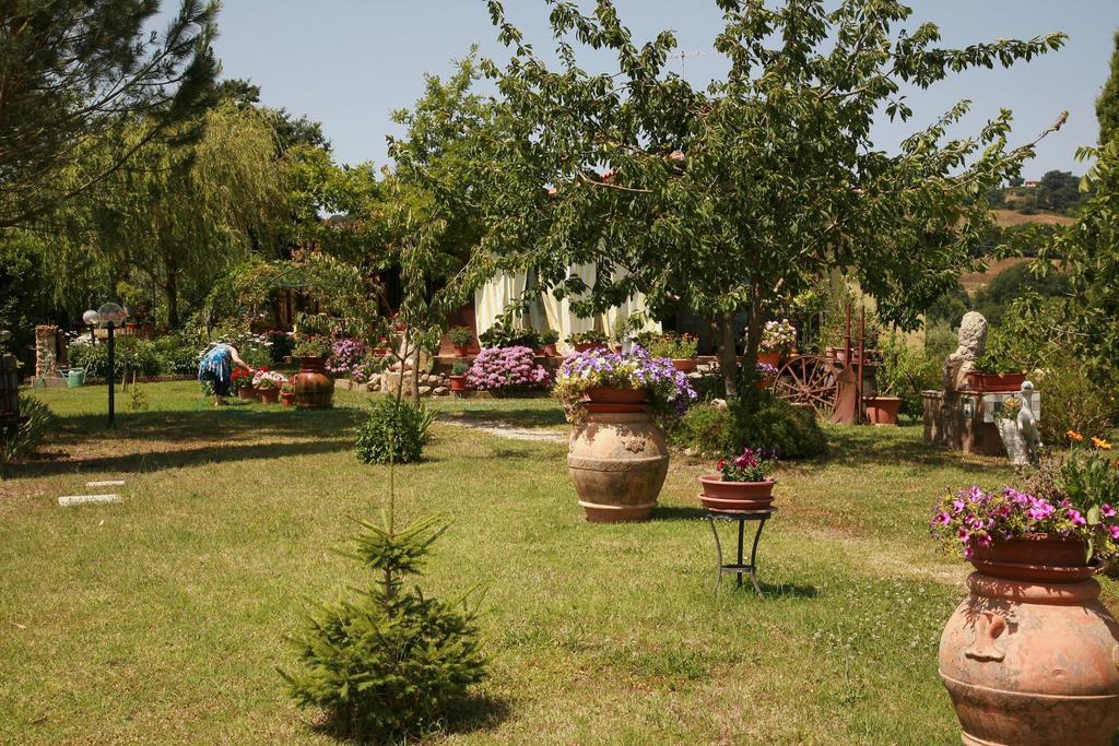 Agriturismo Agri E Arte Manciano Eksteriør bilde