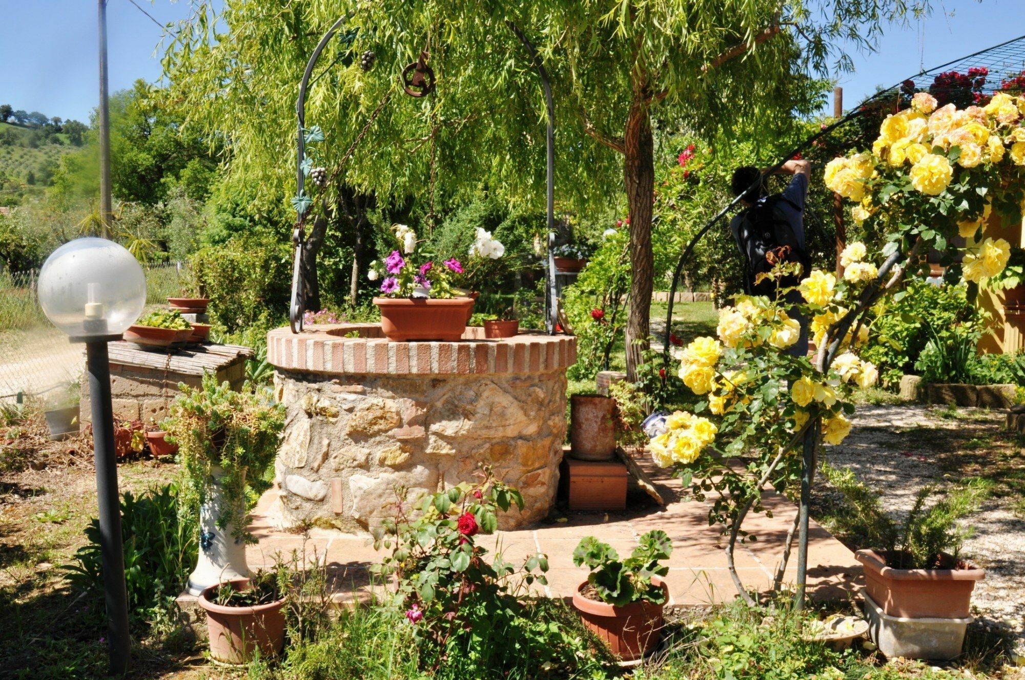 Agriturismo Agri E Arte Manciano Eksteriør bilde